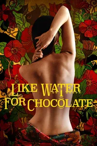 Like Water For Chocolate poster